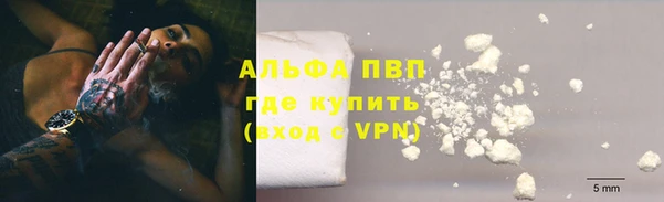 Альфа ПВП Елизово