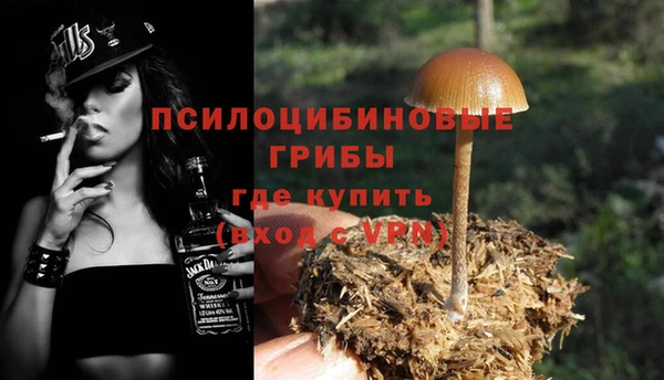 ПСИЛОЦИБИНОВЫЕ ГРИБЫ Алексеевка